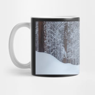 Winter no.2 Mug